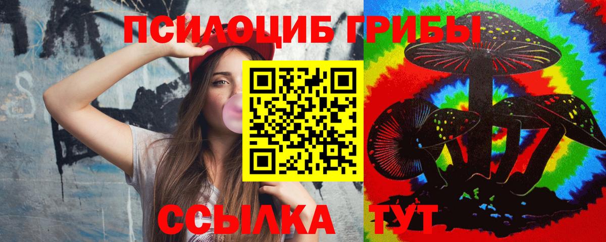 Красный Сулин  Псилоцибиновые грибы MAGIC MUSHROOMS  Вход с VPN 